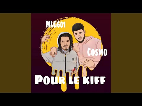 Pour le kiff (feat. MLG 601)
