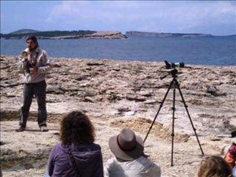 download lagu mp3 mp4 Punta Pedrera, download mp3 Punta Pedrera free download mp3, download mp3 Punta Pedrera