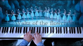 Download lagu Waltz Of The Flowers From 'Nutcracker Ballet' by Tchaikovsky mp3 Download lagu Waltz Of The Flowers From 'Nutcracker Ballet' by Tchaikovsky mp3