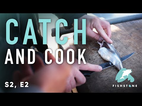 S2E2 - Saubrer Hering - FISHSTONE's Angelwelten