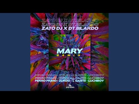 Mary Remix