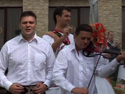 Luci Duga Carasanu - Anton Trifoi  - Ion prietenul meu