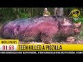 PIGZILLA: World Record Wild Hog never seen ...