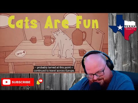 The History of the World According to Cats (TED-Ed) - Texan Reacts