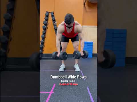 Want a Bigger Back? DO THESE Dumbbell Exercises‼️ #shorts