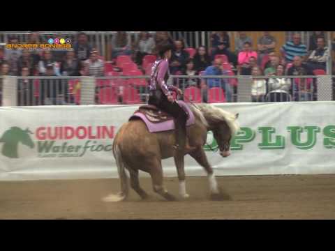 ANN FONCK - SHINERS VOODOO - KIMBERLY WEGNER - EURO FUTURITY 2017 OPEN FINAL