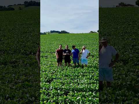 Santo Antônio do Sudoeste, Paraná. 🏡📸☀️