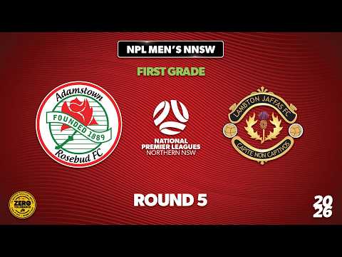 bg-highlight