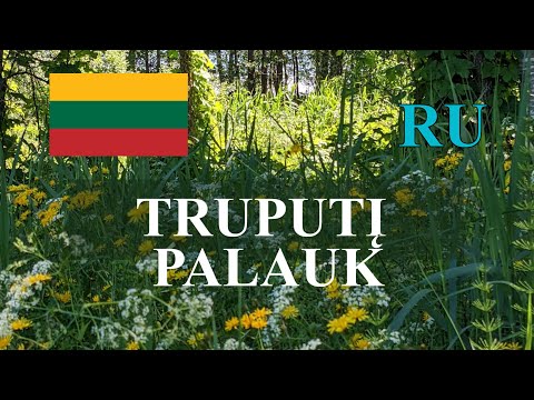 ЛИТОВСКИЙ ЯЗЫК - 80 - TRUPUTIS. LAUKTI