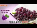 【影音版】葡萄分黑、紫、紅、綠，營養素大不同
