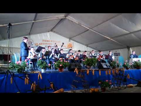 ❤♡❤ MAESTRO FRANJO BATOREK POTPURI ❤♡❤ & TEBI PIVAM SLAVONIJO UZORITA IVANOVAC