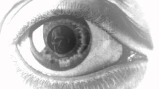 The Dillinger escape plan - Parastic Twins