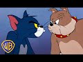 Tom Jerry Cats V S Dogs Animal Takeover Wbkids