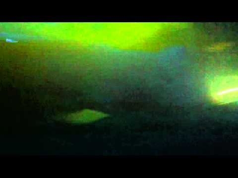 Nitrous Oxide playing Orjan Nilsen- Viking at MoS Live