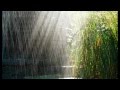 Прогулка под дождём. /Walking in the rain.Chris Spheeris / 