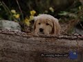 All Week Of Barney S Outdoor Fun All Week Version Part 117