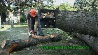 preview picture of video 'Greenleaf's Tree Service - Tree Removal MA'
