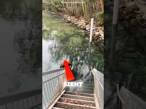 Magische Wasser Brille 🕶️💦