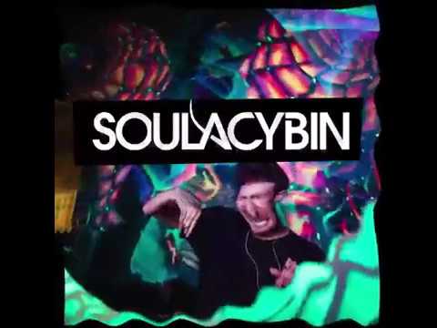 Soulacybin IndieGoGo Promo