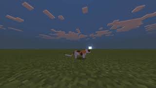 C418 - Cat (Slowed + Reverb)