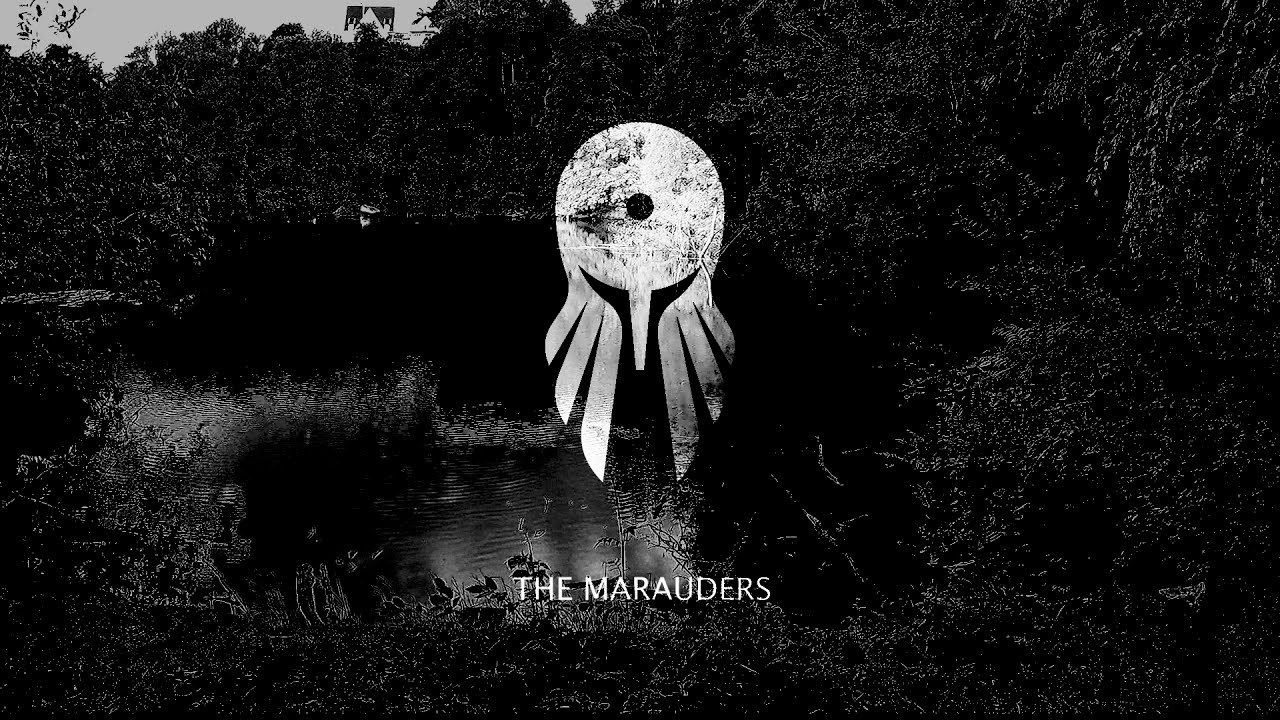 DROTT - The Marauders Official Video - YouTube
