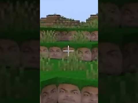 A_T - Cursed Minecraft be like: