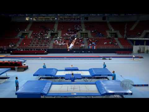 BYEDYEVKIN Dmytro (UKR) - 2017 Trampoline Worlds, Sofia (BUL) - Qualification Trampoline Routine 2