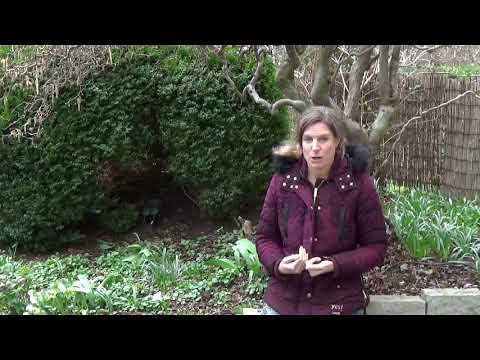 Wie fühlt sich Tourette eigentlich an?