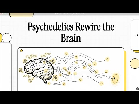Psychedelics & Neuroplasticity: How Psychedelics Rewire the Brain (Agnorelli et al., 2025)