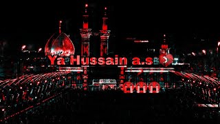 Syed Badesha Hussain AS  New Noha  Status  #islami