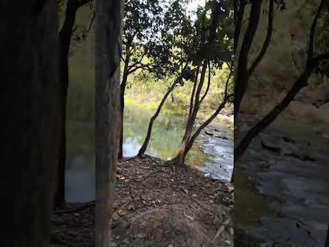 balnearios manantial los josefinos municipio de las cruces peten