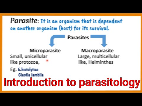 Fascioliasis ökológiai - A diffúz májváltozások tünetei: mi a tünetek - Receptek