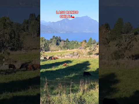 LAGO RANCO CHILE. 🇨🇱 #viajes #lagoranco #patagonia #travel#turismo #viajes #turismochile #fyp
