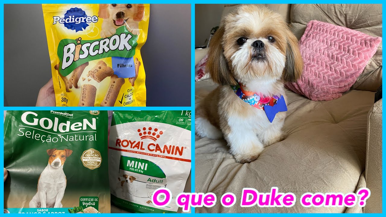 RAÇÕES E PETISCOS DO DUKE SHIHTZU
