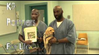 Canine Partners for Life Puppies Arrive at MD Prison