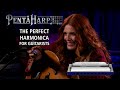 PentaHarp Harmonica - C Minor