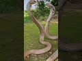 Janam Janam Ka Sath Hai