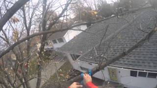 preview picture of video 'Tree Services of Omaha - Second Maple Trim Job - 12/6/14'