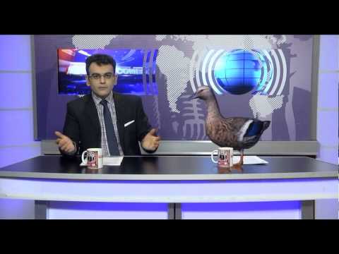 ArmComedy 174 - Գրասենյակային պատերազմներ