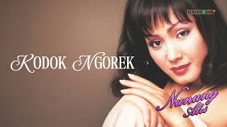 Download lagu Nunung Alvi - Kodok ngorek mp3