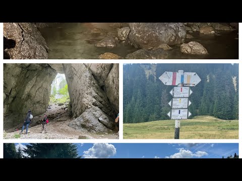 5 PROPUNERI DE TRASEE IN ZONA PADIS | Ture scurte in Apuseni | Un munte de mers cu familia