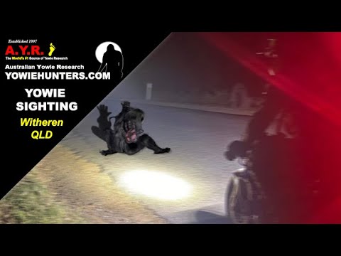 Yowie / Bigfoot Sighting (Audio Report #193) at Witheren, Queensland