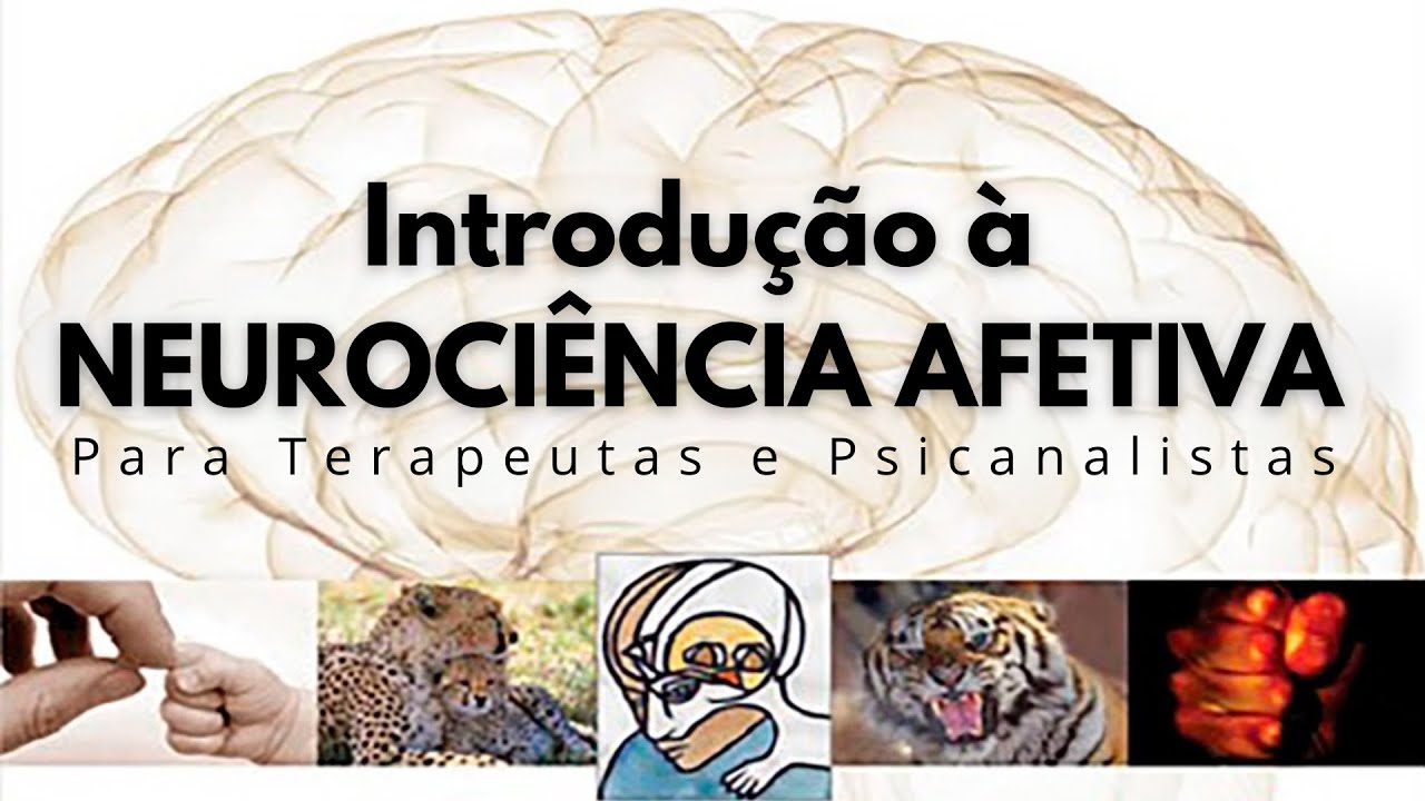 Neurociência Afetiva para Terapeutas e Psicanalistas