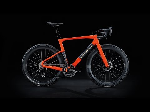 Fascenario.5 Team Edition