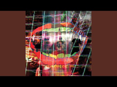 Father Time - Animal Collective
