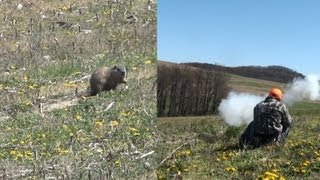 Groundhog Hunting with Muzzleloader, Bow &amp; Rifle 2012