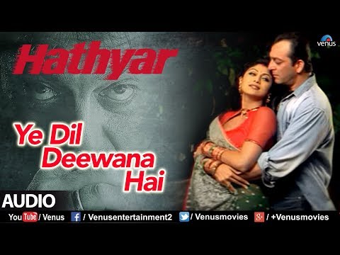 Poster ye dil deewana hai
