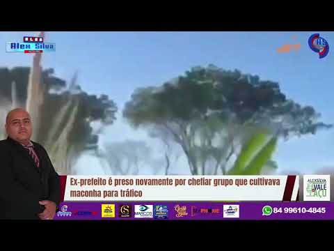 Ex-prefeito da Paraíba é preso novamente por chefiar grupo que cultivava maconha para tráfico