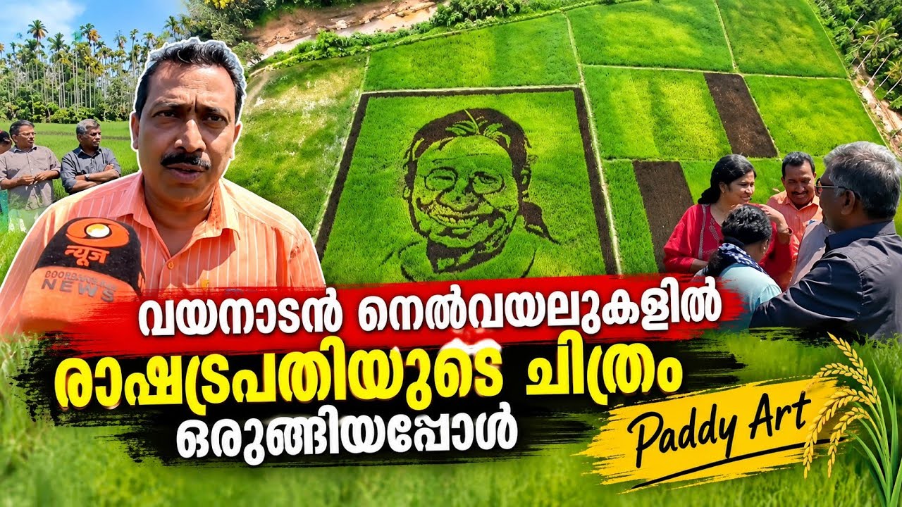 നെൽച്ചെടികളിൽ രാഷ്ട്രപതിയുടെ വിസ്മയ ചിത്രം; ശ്രദ്ധ