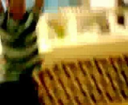 Rothwell Town Soccer AM wrestling